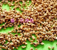 ��(y��u)�|(zh��)���Қ������Қ�(���ͣ������Қ��w��