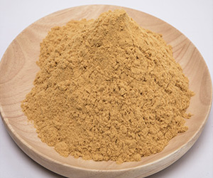 �ۺ������F ���۠����w���